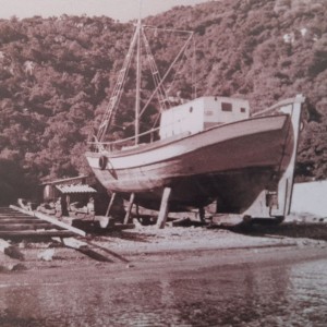 Ταρσανάς στο Καλάμι Περιστέρας