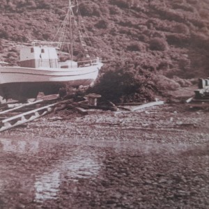 Ταρσανάς στο Βασιλικό της Περιστέρας